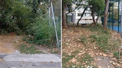Почистват от сухи клони и издънкова растителност детските площадки в централната част на Варна