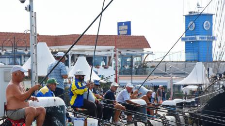 Рибари: Морето завря от сафрид