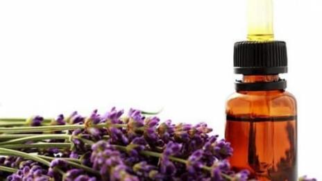 Kак да се спасим от комарите с натурални продукти?