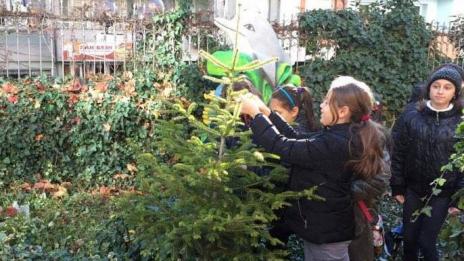 Благотворителна кампания за продажба на живи елхи започна във Варна