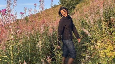 Добрата новина: Откриха Стефани