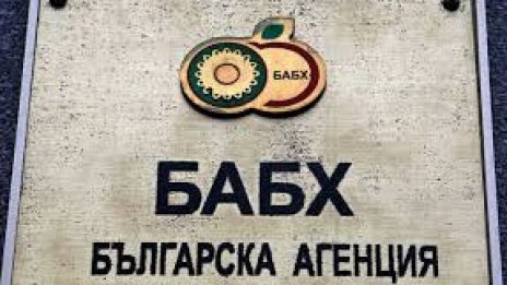 БАБХ откри негодни храни във Варна