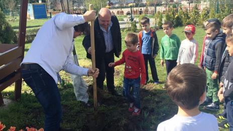 Държавно горско стопанство „Варна” подари дръвчета на ЦДГ "Златно зрънце”