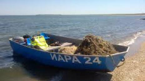 Забраняват улова на калкан и попчета от 15 април