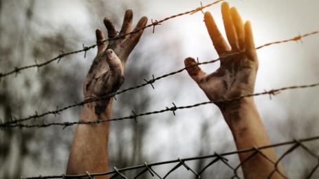 „Амнести интернешънъл”: Сирийската власт обесила 13 000 души