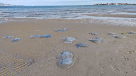 Преди бурята морето се отдръпна 5 м навътре