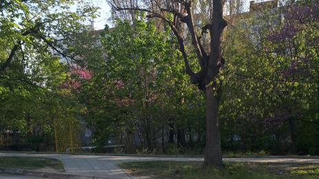 Опресняват пешеходната маркировка във Варна