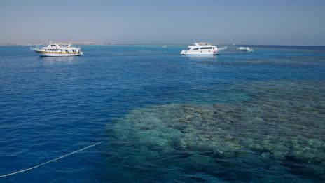 Два нови острова се появиха в Червено море