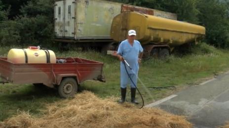 В Странджа, заради чума: Избиват цели стада, стотици овце