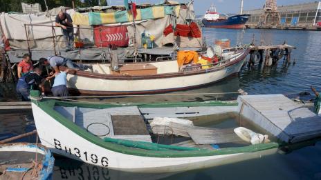 ИАРА: Отпада задължението за водене на риболовен дневник