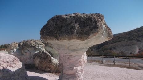 Каменните гъби край с. Бели пласт