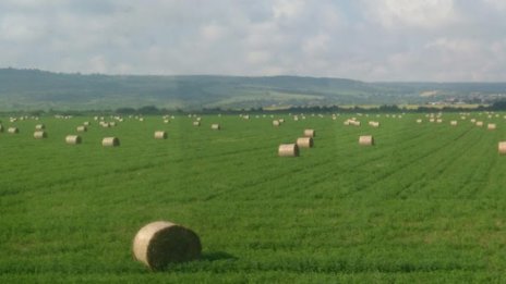 Европрокуратурата разследва далавери със селскостопански субсидии у нас