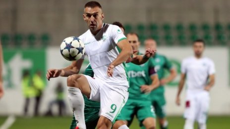 Камбуров сам решава дали да остане в Берое