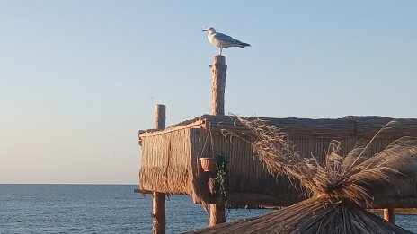 Какво ще бъде времето в понеделник?
