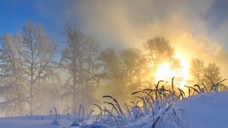 Януарска пролет: Температурите стигат до 14°C