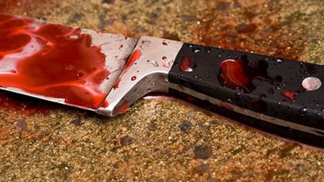 Луд наръга смъртоносно съпруга на районна съдийка