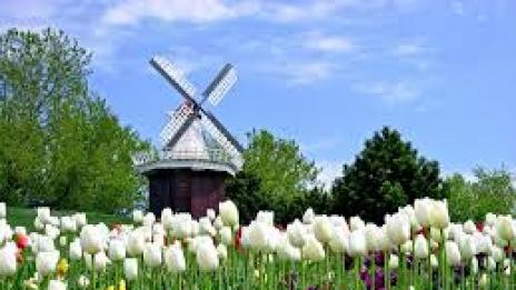 Холандците не искат имигранти от Източна Европа
