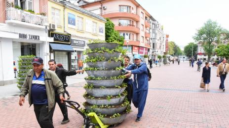 Китни цветарници ще красят центъра на Варна