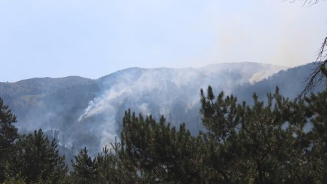 Горят над 70 декара край границата с Гърция
