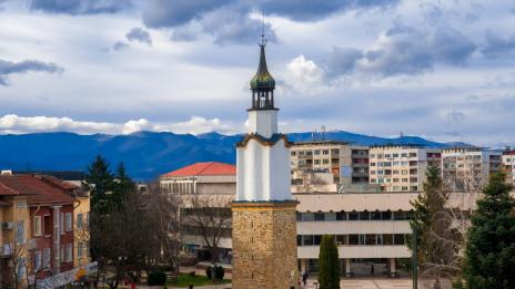 Ботевград на протест