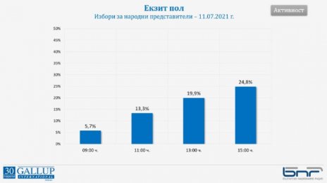 "Галъп": Към 15 ч. избирателната активност е била 24,8%