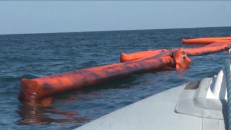 Няма замърсяване на морската вода край Созопол 