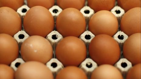 БАБХ установи втора партида яйчен прах от Германия, замърсен с фипронил