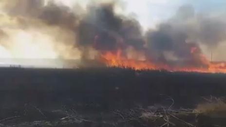 Прокуратурата разследва пожара край Дуранкулашкото езеро