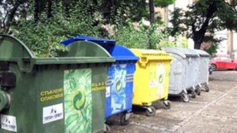 Намериха мъртви делфини... в контейнер на улицата