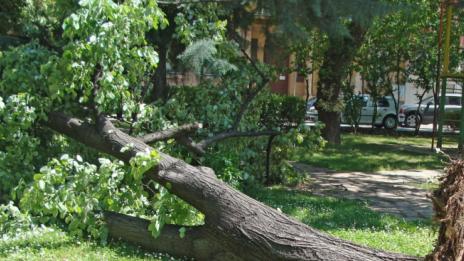 Ураганна буря връхлетя Гоце Делчев, нанесе са много щети