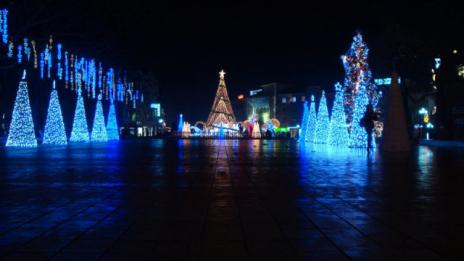Елхата на Варна грейва днес