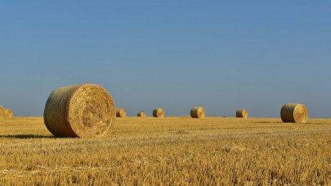 Бали със слама една не изгориха инвалид