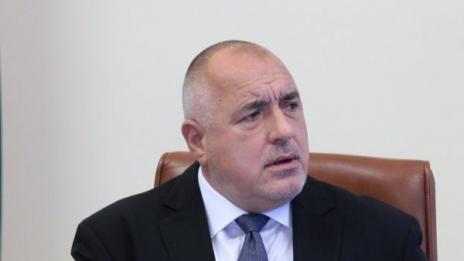 Строежът на Алепу - прекрасно място за къщичка за птици