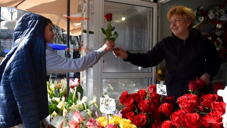 Няма голям скок в цените на цветята преди 8 март  във Варна (СНИМКИ)
