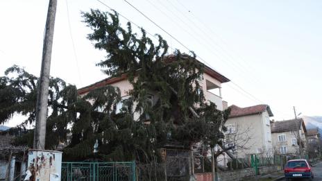 Възстановиха електрозахранването в още 12 селища, пострадали от бурята