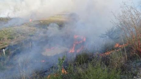 Локализиран е пожарът край село Реброво