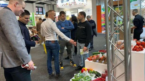 България се нареди до новаторите и лидерите в производството на зеленчуци