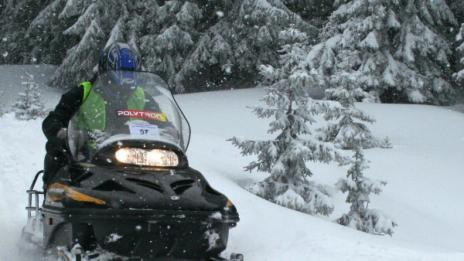 Пет часа търсиха дядо и внуче, изгубени в гора в Пампорово