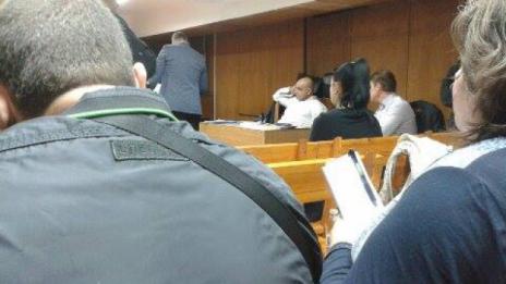 Анита Мейзер ще лежи 4,5 г. в затвора