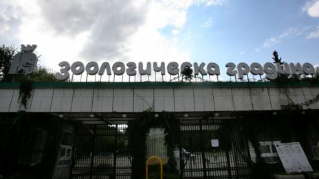 Граждани протестираха пред столичния зоопарк с искане той да бъде затворен