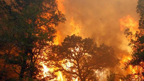 Потушиха пожара край Харманли