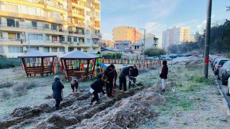 Близо 3000 дървета засадиха в кампанията “Залеси Варна”
