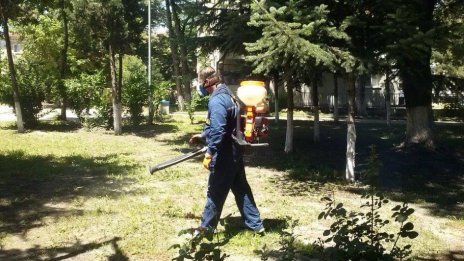 Започва обработката против кърлежи на обществени терени във Варна