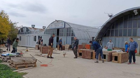 Построиха нови къщички за животните в село Каменар