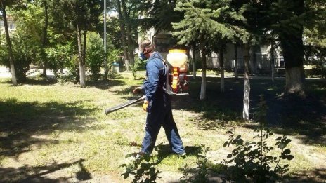 Продължава обработката срещу вредители във Варна