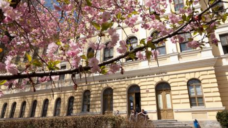 Старопрестолни преподаватели показват изложба в галерия „Актив Арт”