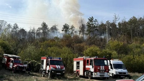 WWF: Повишен е рискът от горски пожари в цяла България