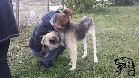 Отряд на четири лапи организира нова акция в Каменар