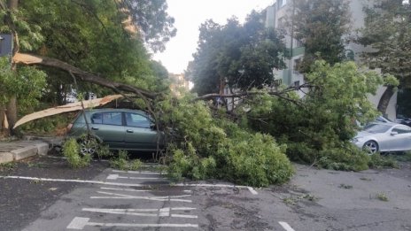 Затворници отстраняват щетите в Бургас