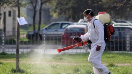 Жилищен блок във Варна пропищя от бълхи